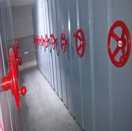 قفسه بندی ریلی