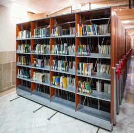 کتابخانه ریلی